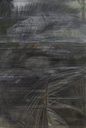 Jungle 1, Eberhard Havekost