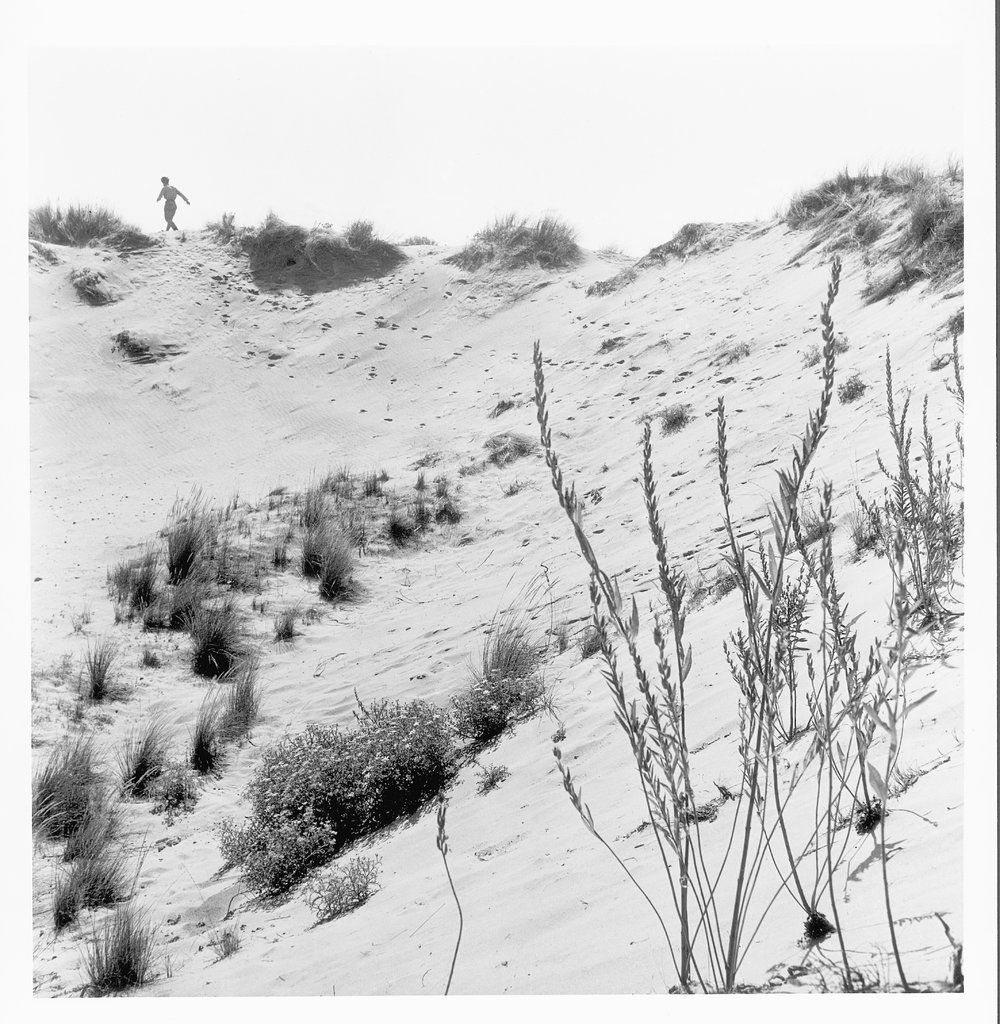 Dune di Porto Caleri, Pietro Donzelli