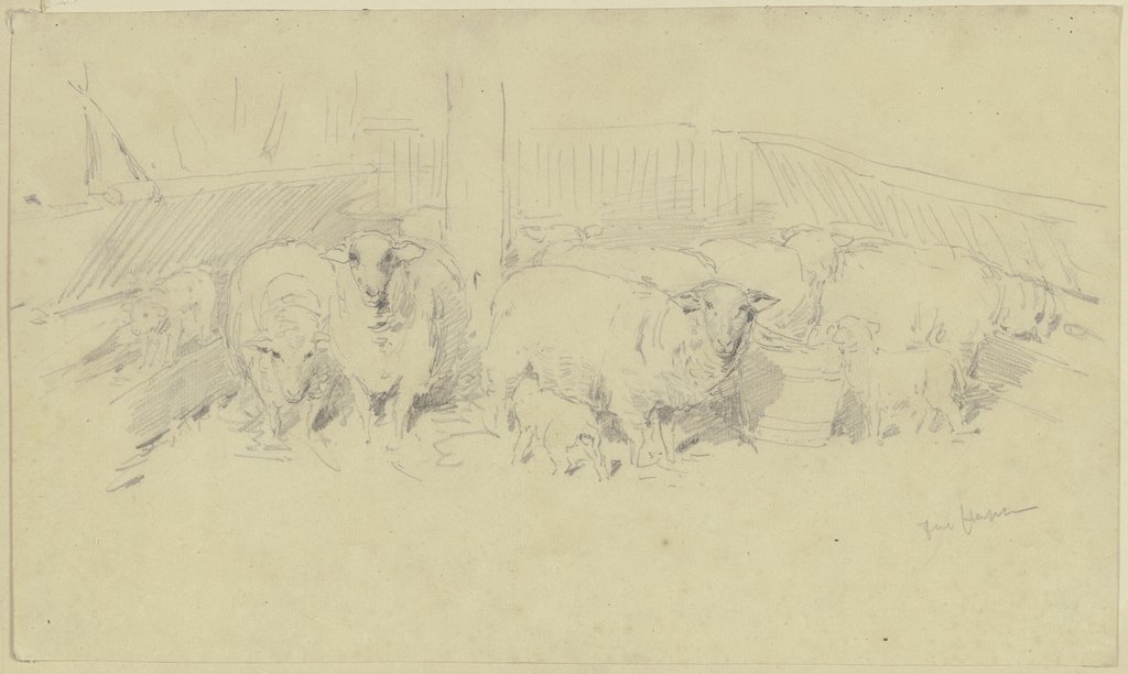 A sheepfold, Jacob Happ