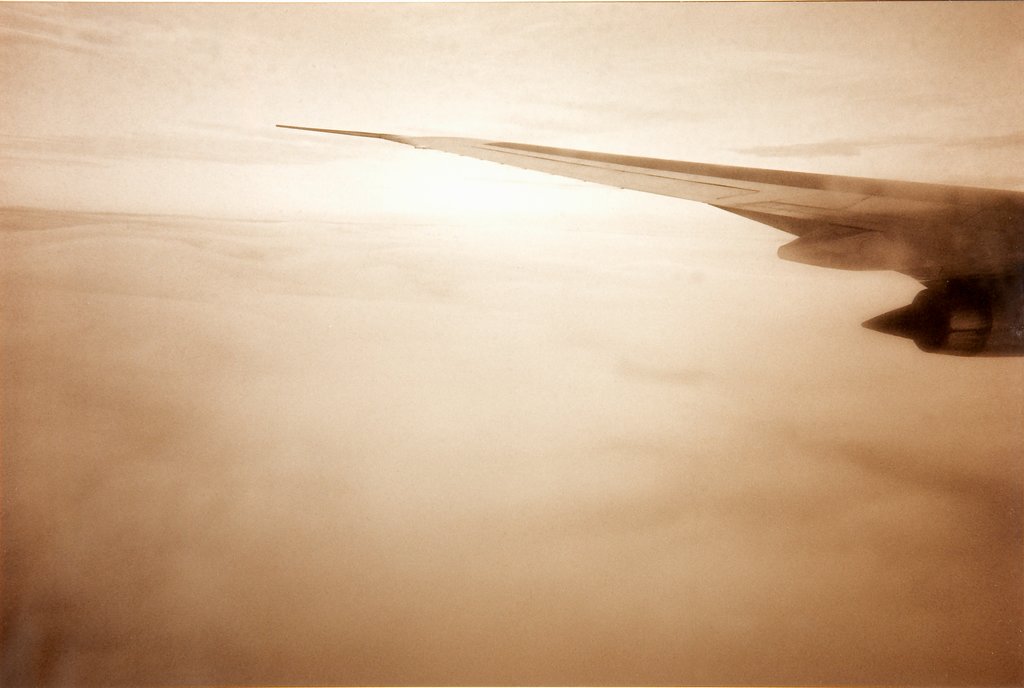 Wing, Wolfgang Tillmans