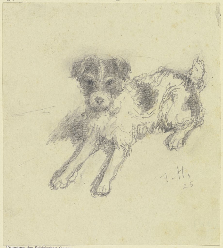 Liegender Terrier, Jacob Happ