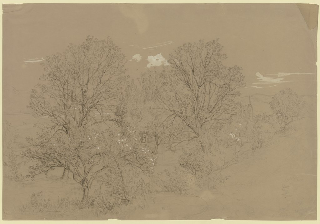 Group of trees near Bingen, Peter Becker