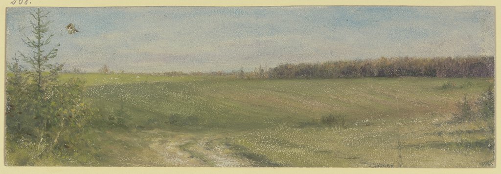 Green field, Wilhelm Amandus Beer