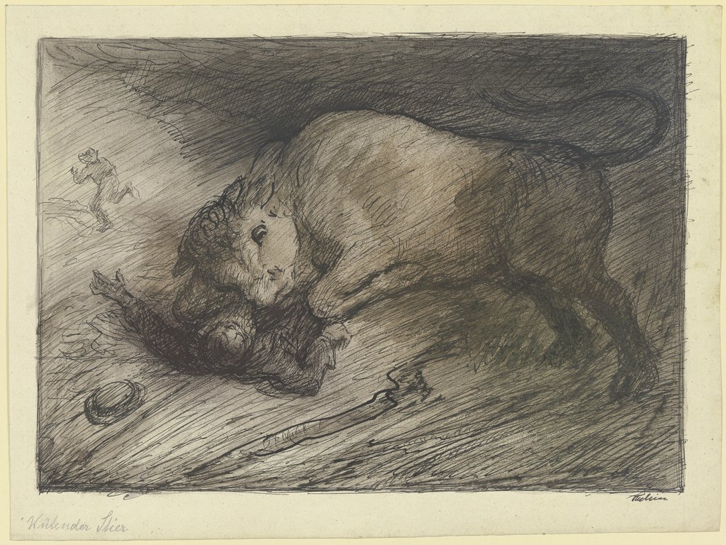 Wütender Stier, Alfred Kubin