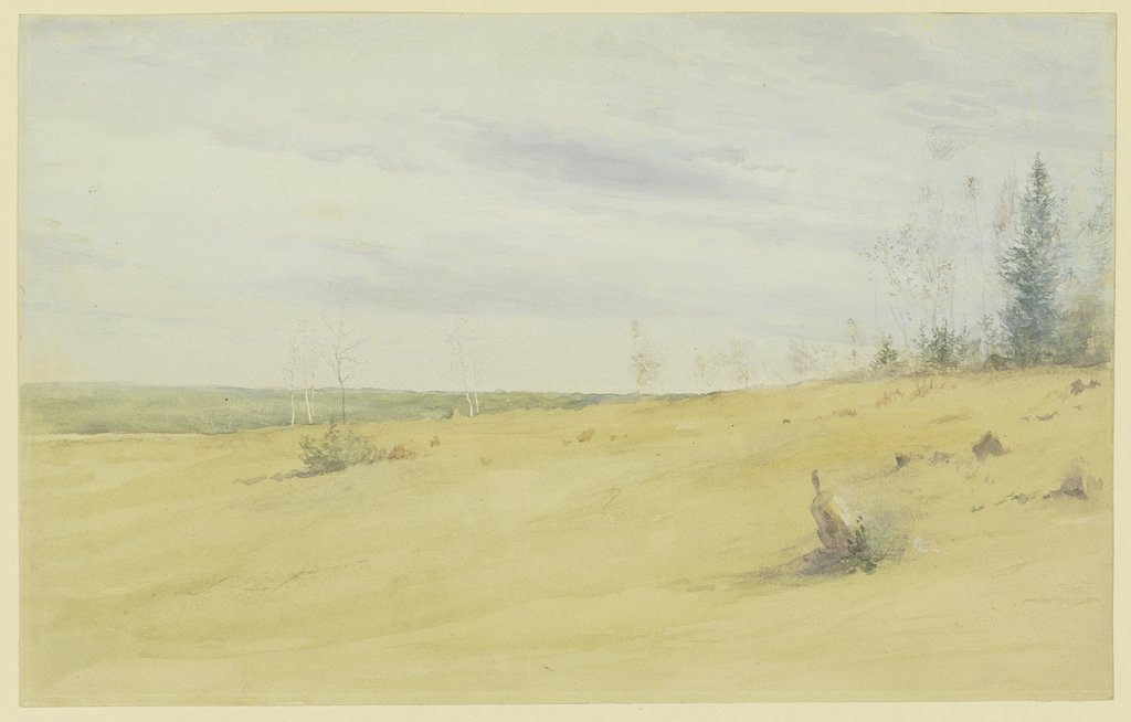 Sonnenverbrannte Heide, Wilhelm Amandus Beer