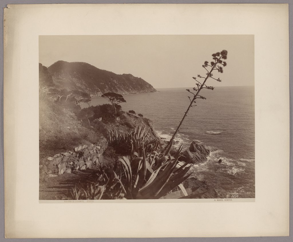 Riviera di Levante: Küste nahe Sestri Levante, August Alfred Noack