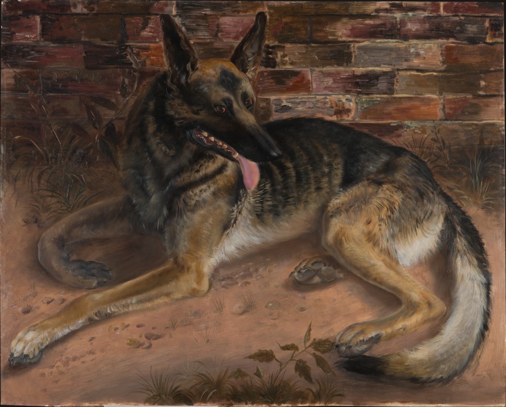 German Shepherd, Otto Dix