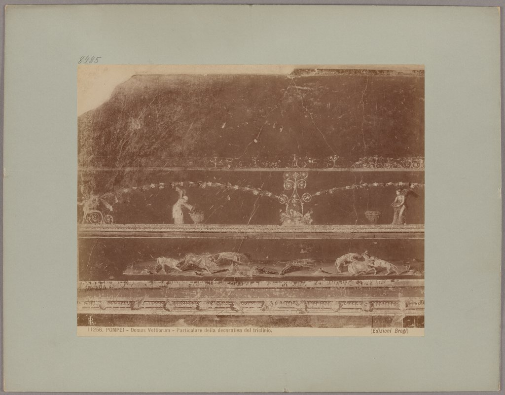 Pompeii: Domus Vettiorum, Detail of the triclinium decoration, No. 11256, Giacomo Brogi