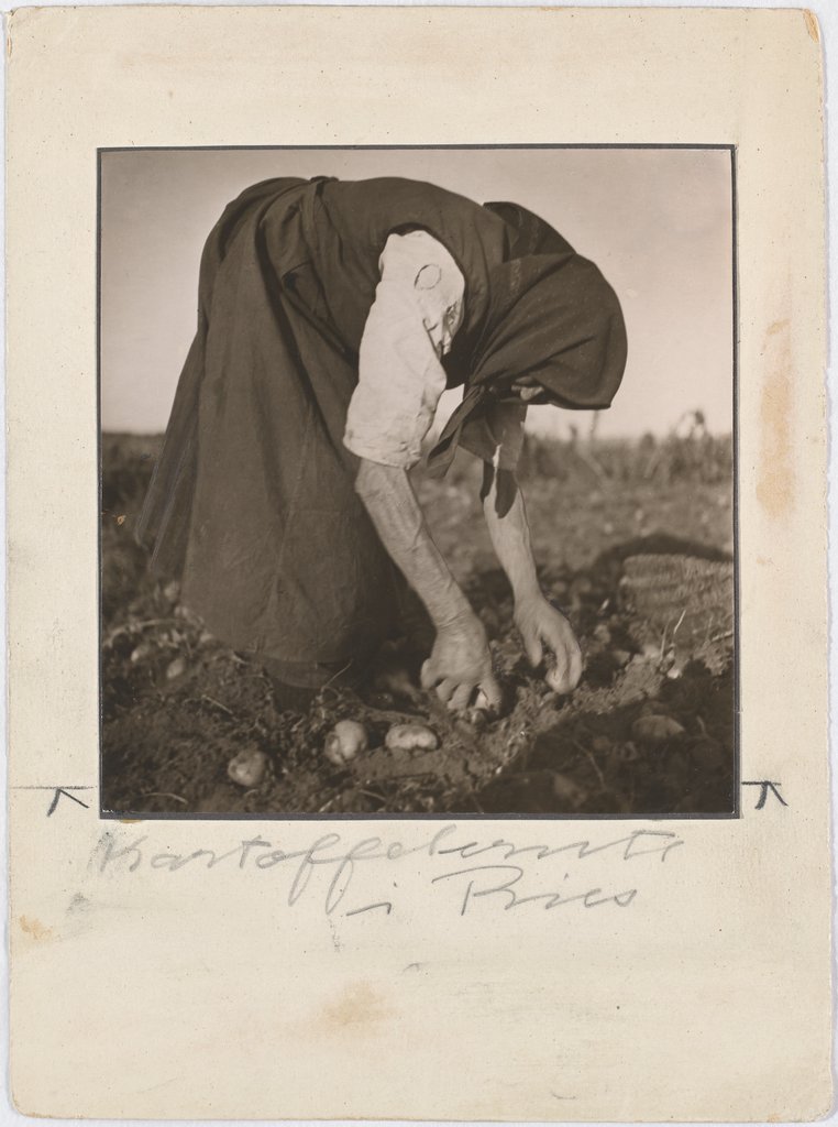 Potato Harvest in Ries, Erna Lendvai-Dircksen