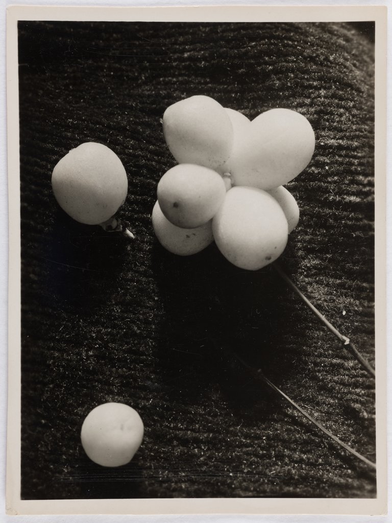 Untitled ("Snowberries"), Herbert Schürmann