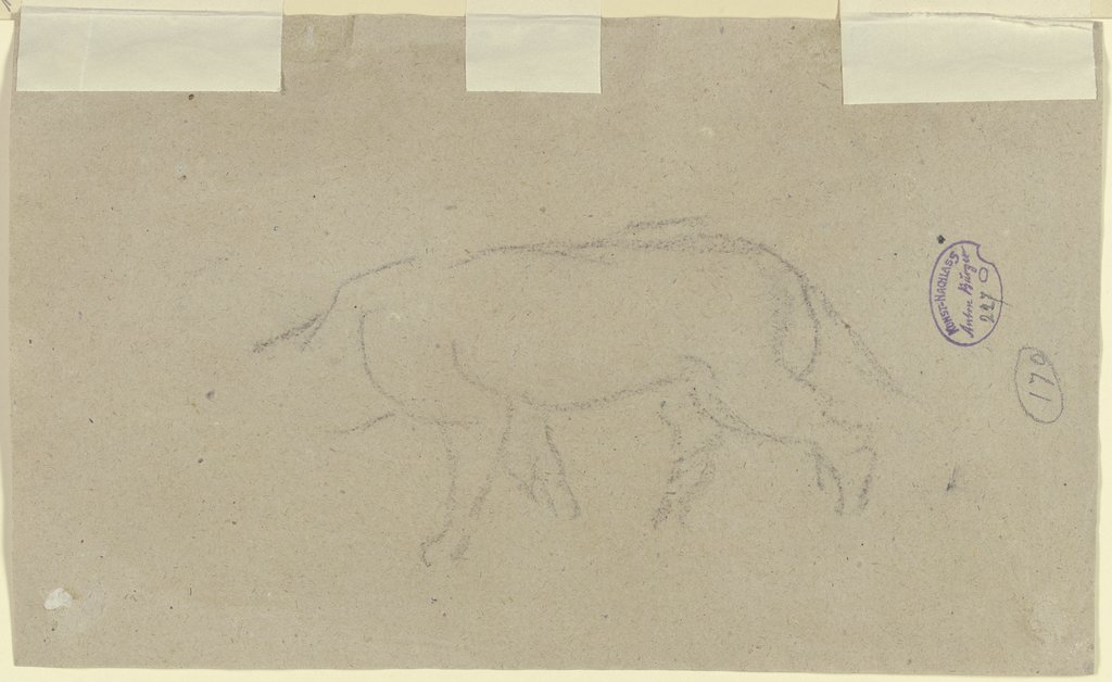 Cow or horse, Anton Burger