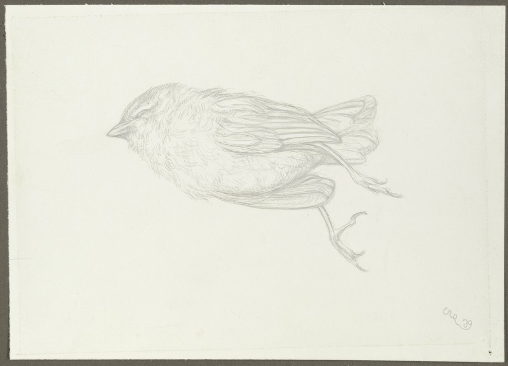 Toter Vogel, Karl Anton Reichel