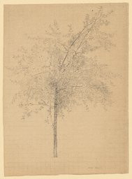 A tree, Odilon Redon