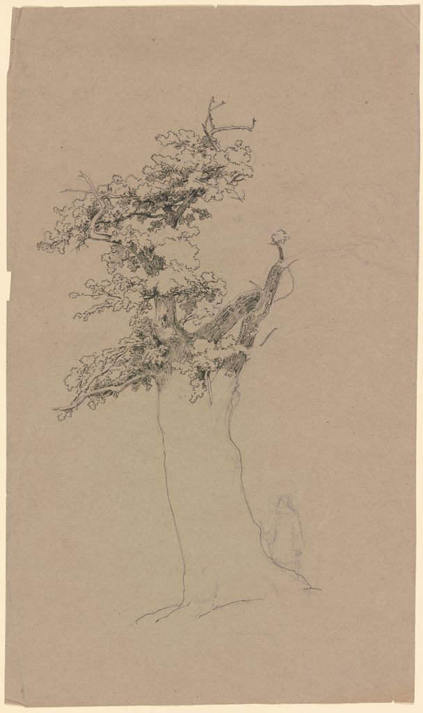 Alter Baum, Carl Theodor Reiffenstein