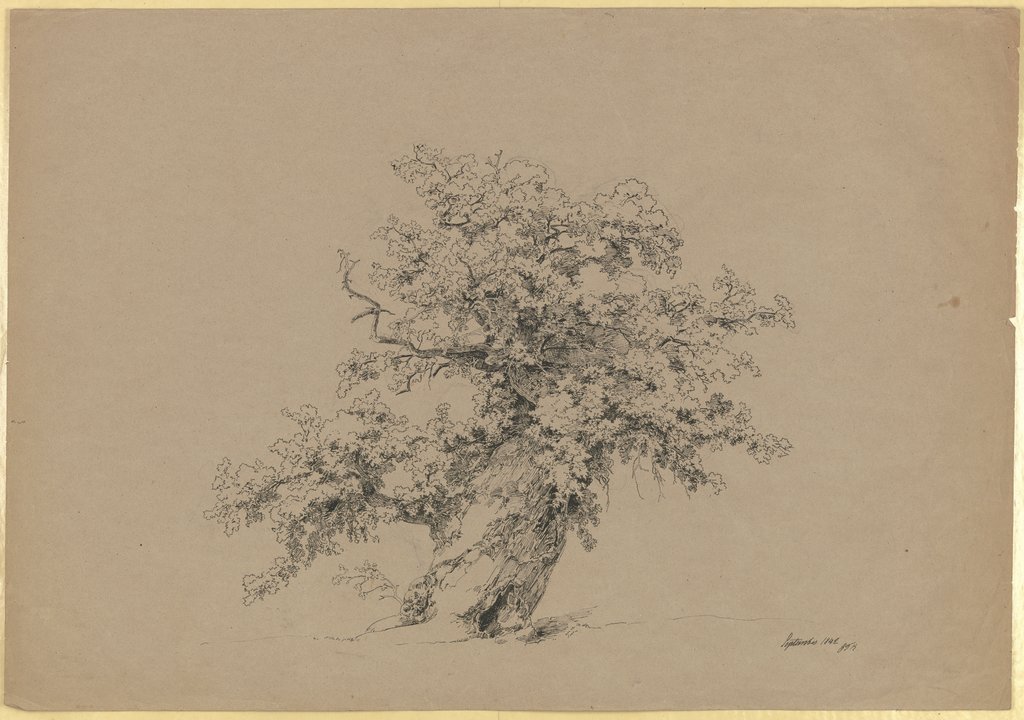 Alter Baum, Carl Theodor Reiffenstein