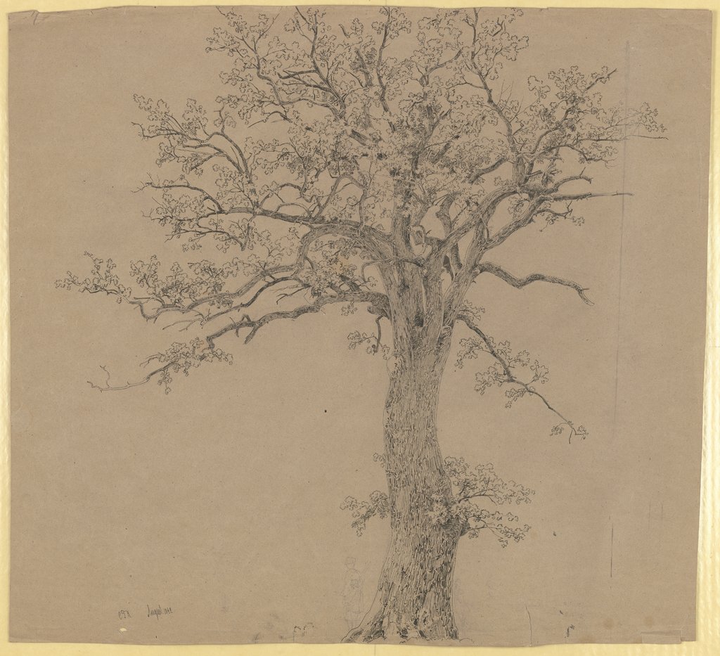 Alter Baum, Carl Theodor Reiffenstein