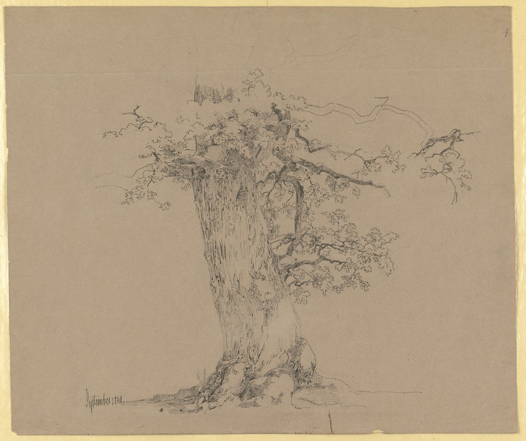 Alter Baum, Carl Theodor Reiffenstein