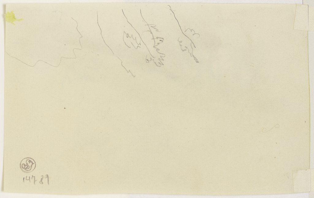 Zweige eines Baumes (Fragment), Jakob Becker