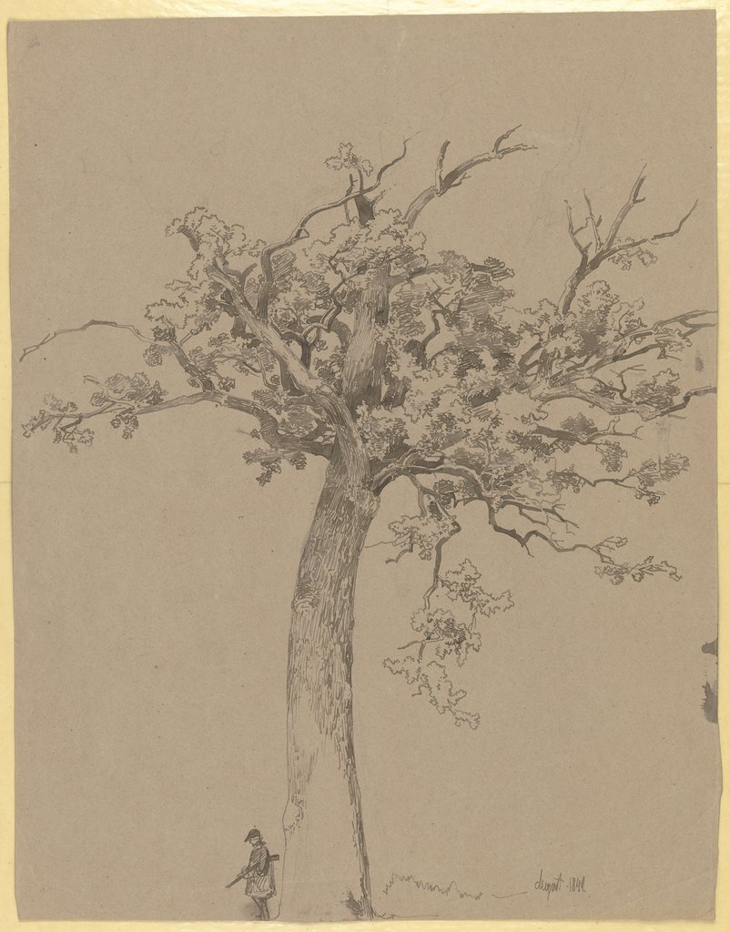 Alter Baum mit kahler Spitze, Carl Theodor Reiffenstein