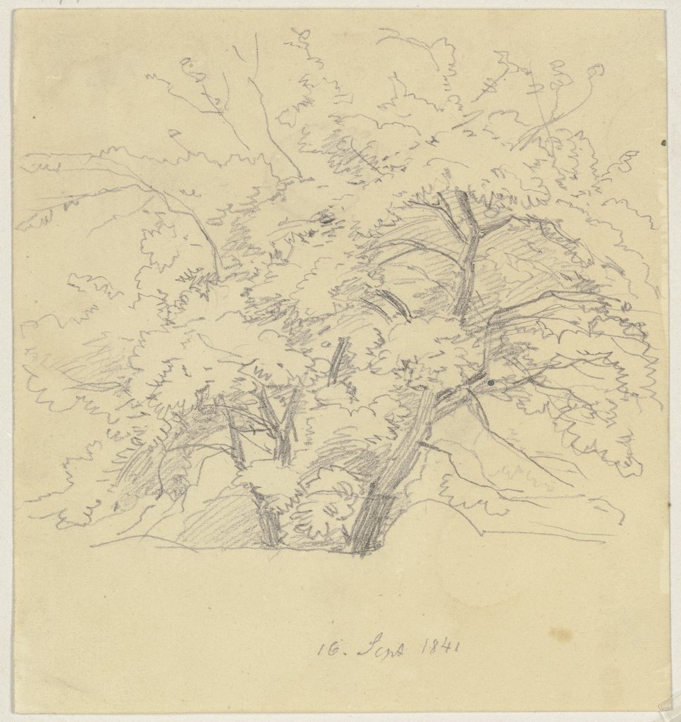 Baum (Fragment), Jakob Becker