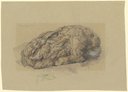 Junger Hase, Felix Klipstein