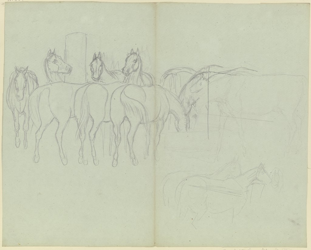 Herd of horses, grazing, Ferdinand Fellner