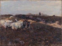 Sheeps in Moorland, Heinrich von Zügel