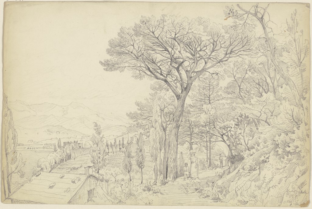 Pines on the Riviera, Carl Morgenstern