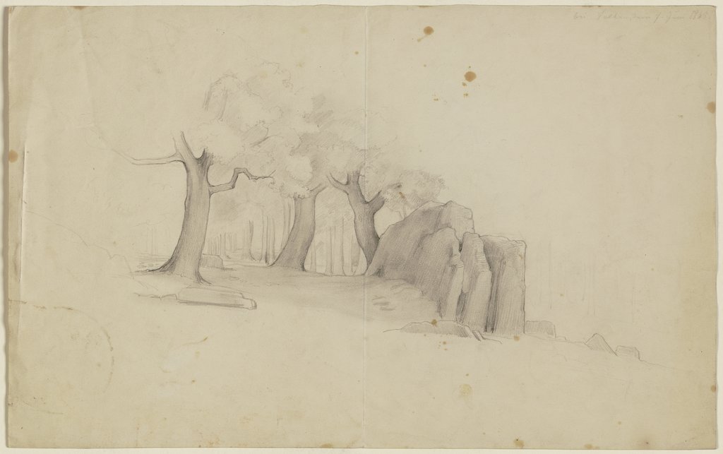 Trees around a rock, Victor Müller