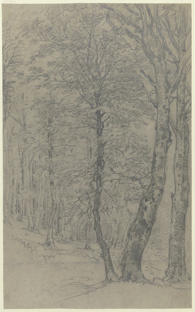 Group of trees, Jakob Maurer