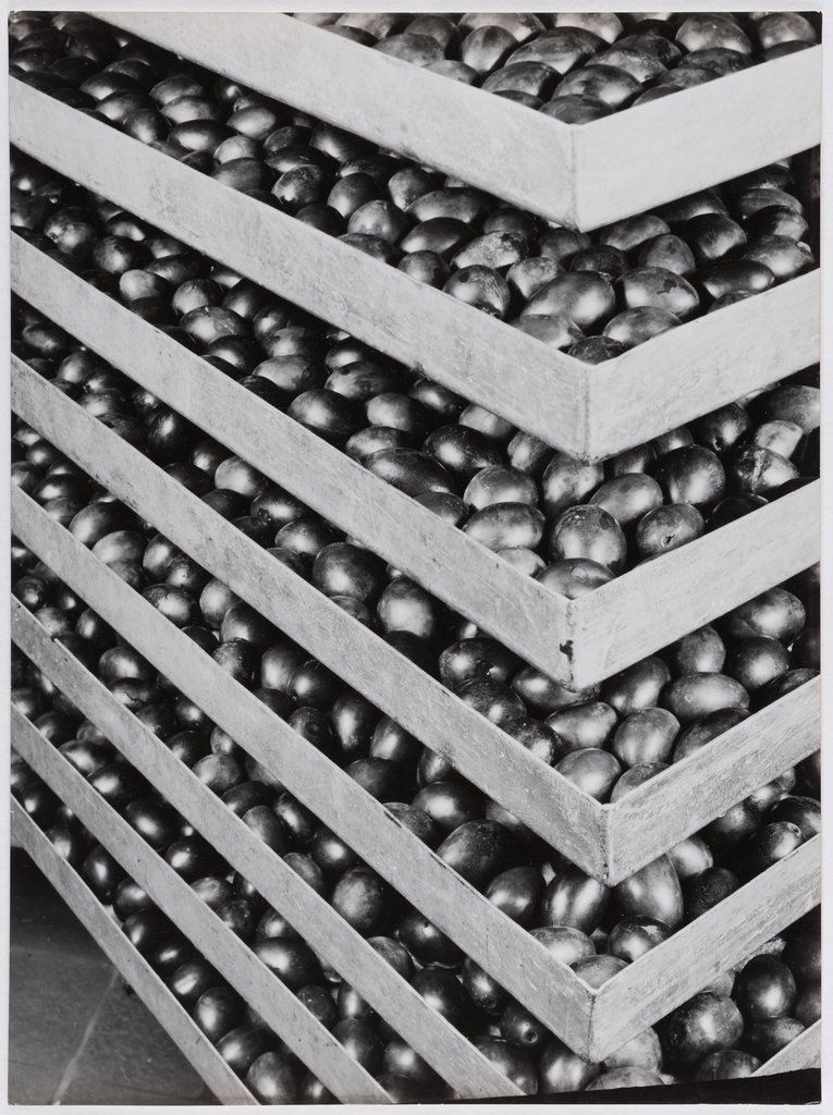 Untitled (Documentation of Harvest for Andersen & Co), Karl Theodor Gremmler