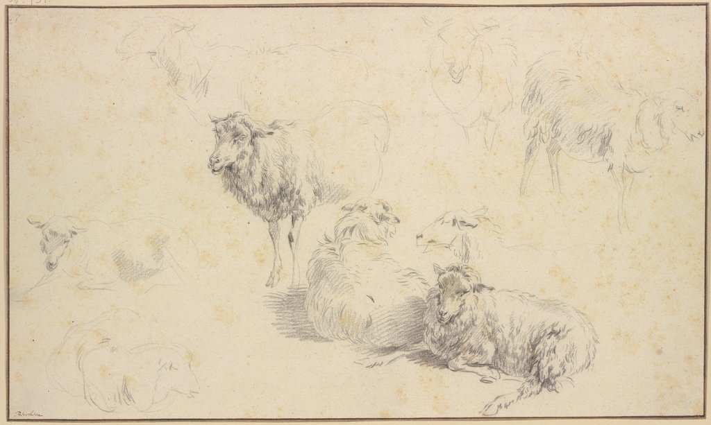 Nine sheep, Nicolaes Berchem