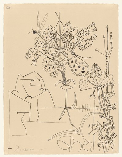 Plantes Tropicales, Pablo Picasso