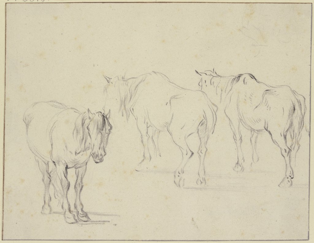 Three old horses, Pieter van Bloemen