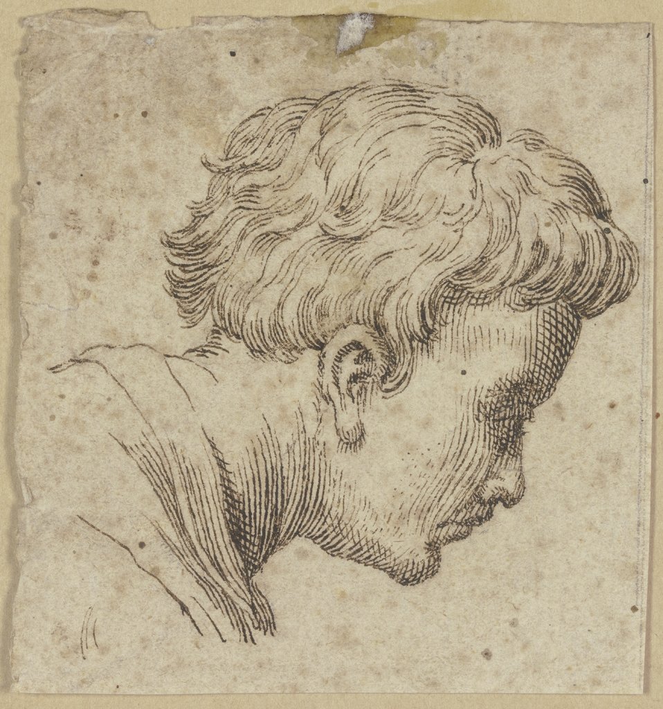 Männerkopf im Profil nach rechts, Hendrick Goltzius;   ?