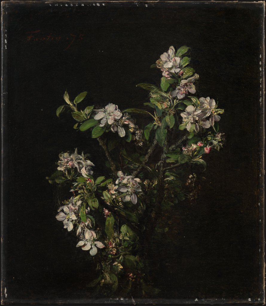 Blossoming branch of an apple tree, Henri Fantin-Latour