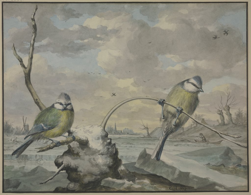 Two tits in the winter, Gijsbertus Haasbroek