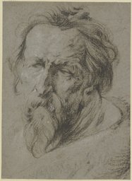 Kopf eines bärtigen Alten nach links, Anthony van Dyck