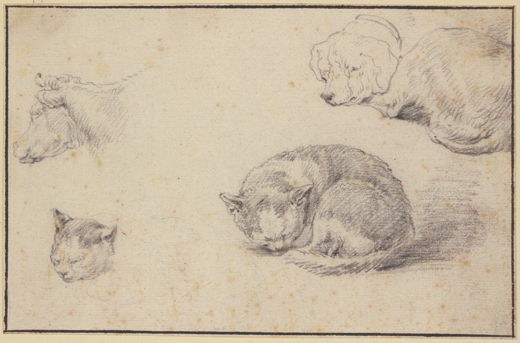 Schlafende Katze und Hund, ein Kuhkopf und ein Katzenkopf, Aelbert Cuyp