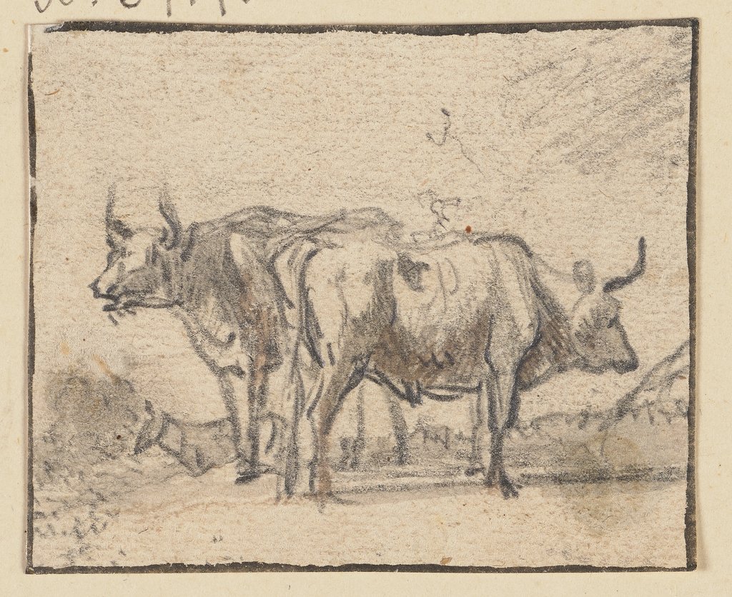 Two cows, Aelbert Cuyp;   ?