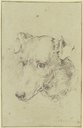 Dog's head to the left, Philip Reinagle