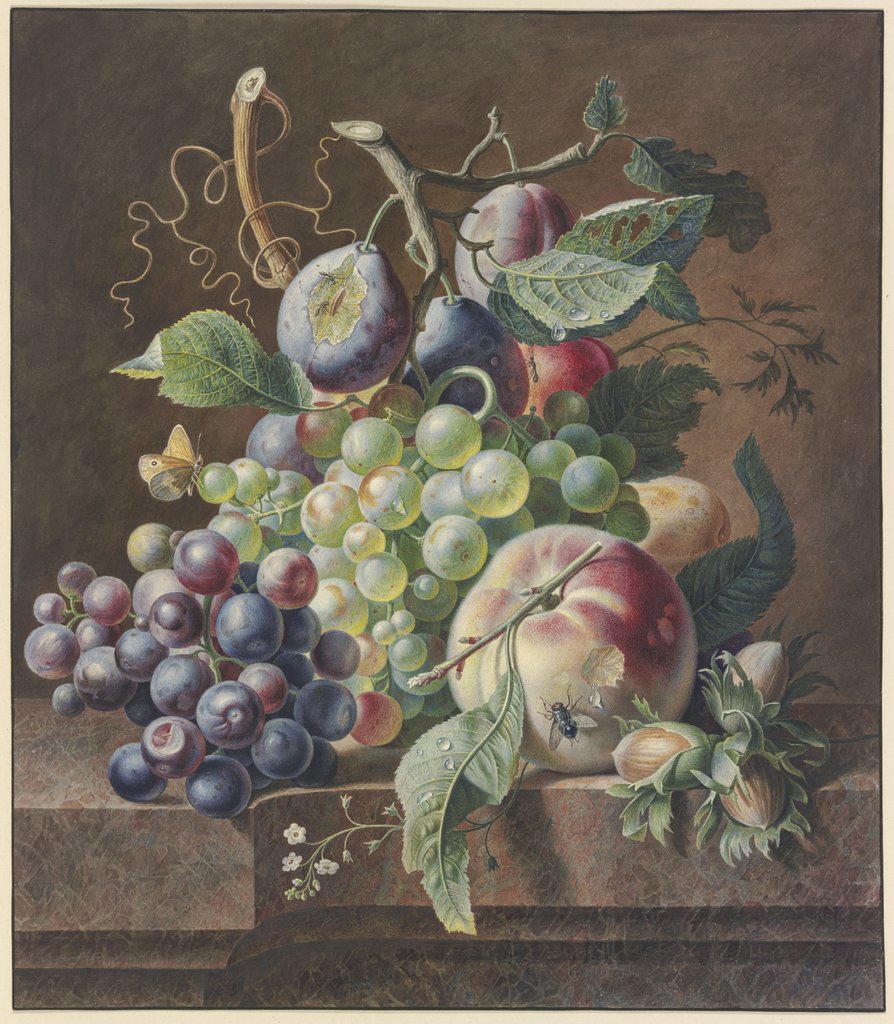 Fruit piece with hazelnut, Unknown, 18th century, after Jan van Huysum