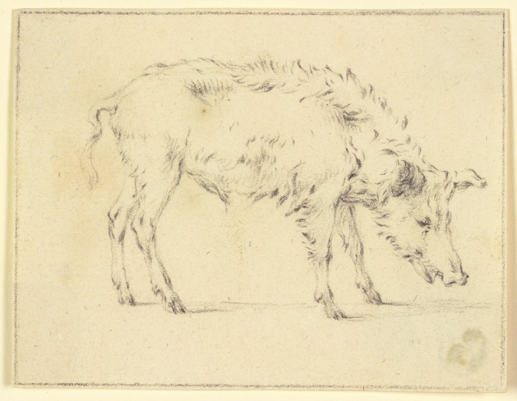 Ein Schwein nach rechts, Paulus Potter