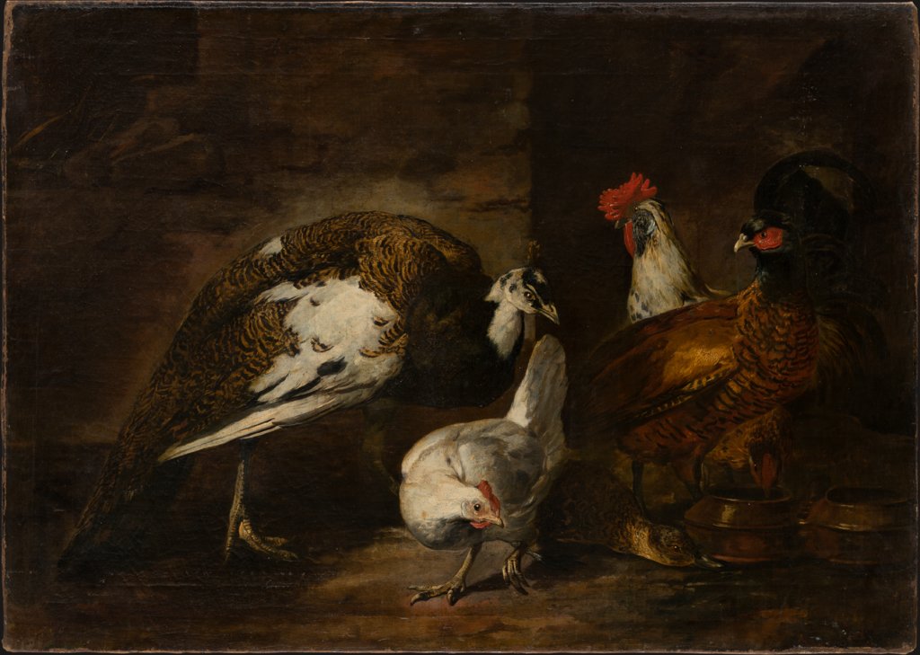 Poultry Yard with Peacock and Peahen, Mario Nuzzi called Mario de'Fiori