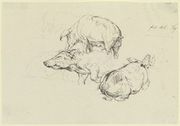 Three pigs, Friedrich Nerly