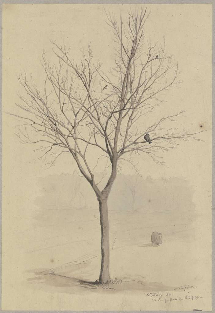 Kahler Baum mit Vögeln, Hans Thoma