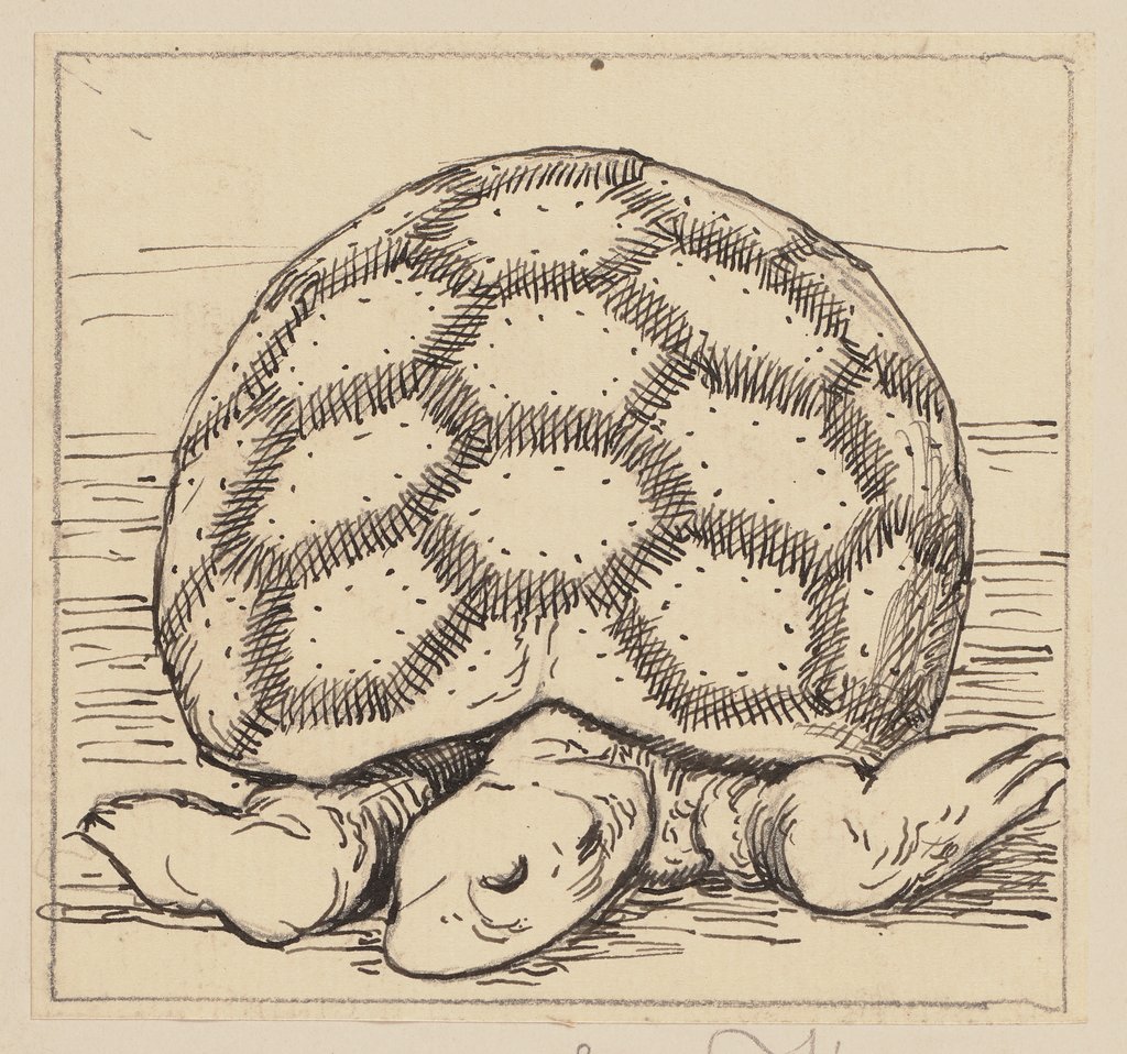 Zeichnung zur Fibel: Schildkröte, Hans Thoma