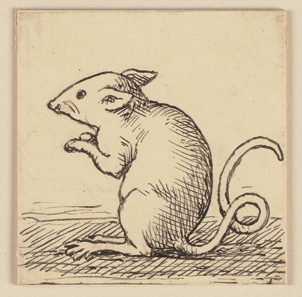 Drawing for the Primer: Mouse, Hans Thoma