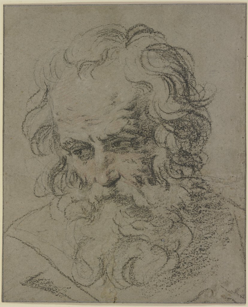 Bearded male head, Guido Reni;   ?