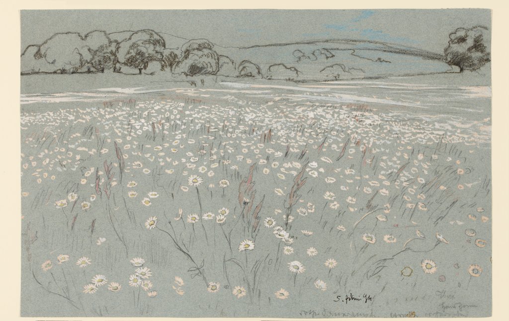 Wiese mit Margeriten, Hans Thoma